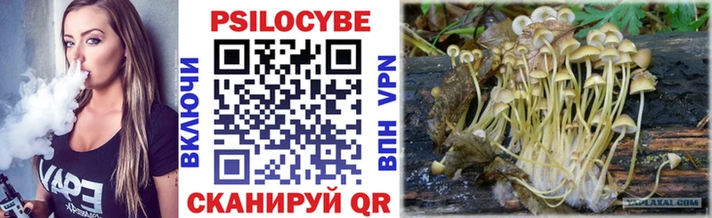 блэк спрут ONION  Махачкала  Псилоцибиновые грибы Psilocybine cubensis 